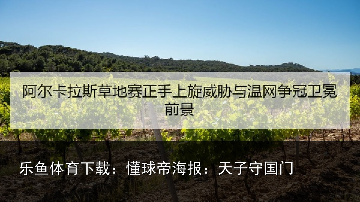 乐鱼体育下载：懂球帝海报：天子守国门