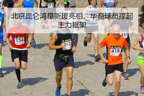 bei-jing-kun-lun-hong-xing-xin-yuan-liang-xiang-hua-yi-qiu-yuan-cheng-qi-zhu-li-kuang-jia-3-859.jpg