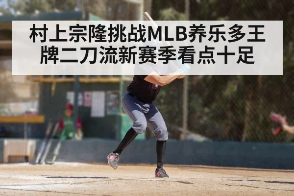 baseball pitcher batter