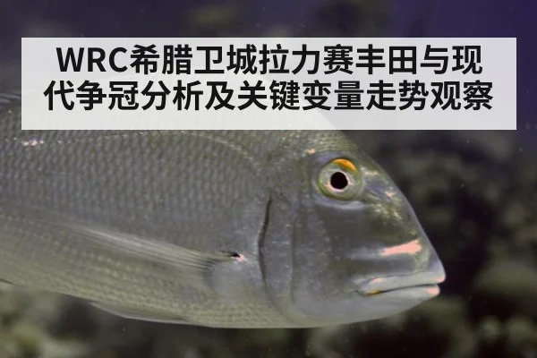 WRC希腊卫城拉力赛丰田与现代争冠分析及关键变量走势观察
